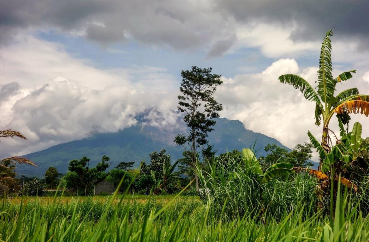 Vulkan Merapi